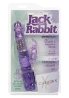Drobný králik Jack — obrázok 2