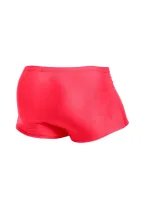 Klasický boxer — obrázok 14