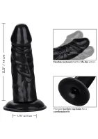 Zadný koniec bacuľaté — obrázok 4