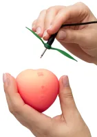 Ružová broskyňa — obrázok 5