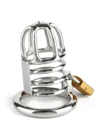 Master Chastity Penis Cage — obrázok 5