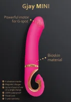 Gjay Mini — obrázok 4
