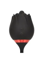 Francúzsky bozk Elite Romeo — obrázok 13