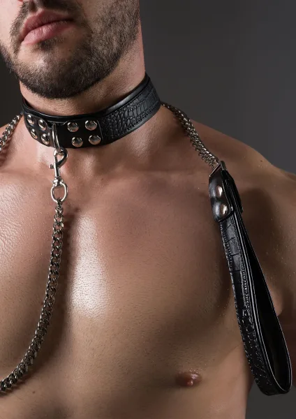 Croc-Embossed Collar & Leash