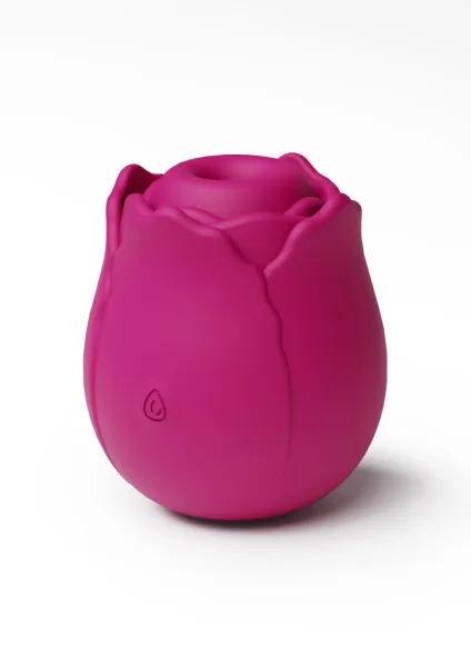 The Vibrating Rose